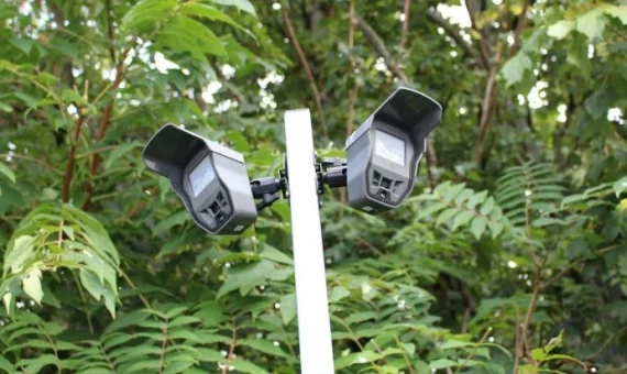 Sicherheitstechnik vor Bäumen